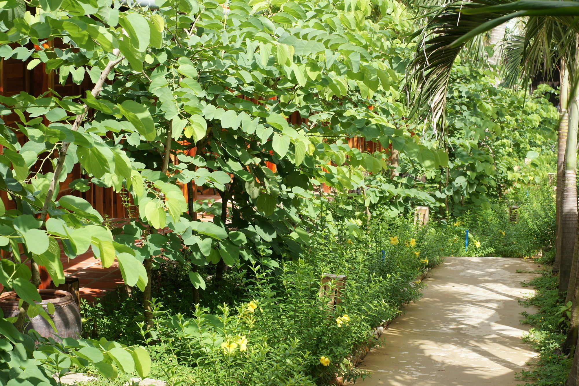 Bauhinia Resort & Spa Phu Quoc Extérieur photo